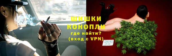 дживик Белокуриха