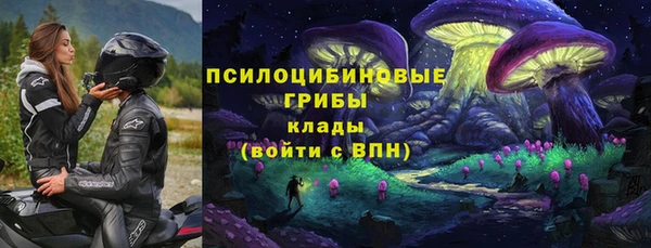 шишки Баксан