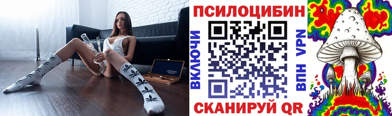 сайты даркнета официальный сайт  где можно купить наркотик  Кунгур  Псилоцибиновые грибы Psilocybine cubensis 
